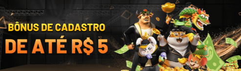 Suporte Login
